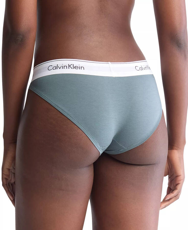 Calvin Klein Women's Modern Cotton Bikini Underwear F3787 Blue Performance - 2