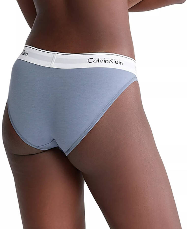 Calvin Klein Women's Modern Cotton Bikini Underwear F3787 Flint Stone - 2