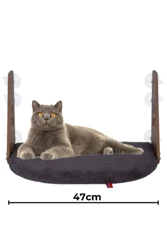 Cam Yatağı Vantuzlu Kedi Cam Yatağı Vantuzlu Yatak Antrasit - Antrasit 