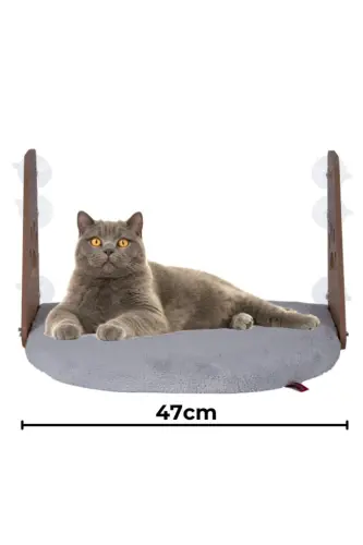Cam Yatağı Vantuzlu Kedi Cam Yatağı Vantuzlu Yatak Gri - Gri - 1