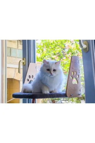 Cam Yatağı Vantuzlu Kedi Cam Yatağı Vantuzlu Yatak Gri - Gri - 3