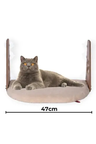 Cam Yatağı Vantuzlu Kedi Cam Yatağı Vantuzlu Yatak Krem - Krem 