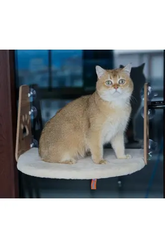 Cam Yatağı Vantuzlu Kedi Cam Yatağı Vantuzlu Yatak Krem - Krem - 4