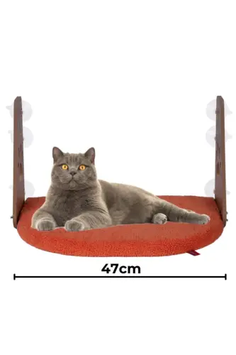 Cam Yatağı Vantuzlu Kedi Cam Yatağı Vantuzlu Yatak Turuncu-Turuncu 