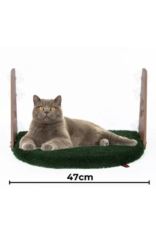 Cam Yatağı Vantuzlu Kedi Cam Yatağı Vantuzlu Yatak Yeşil - Yeşil - 1
