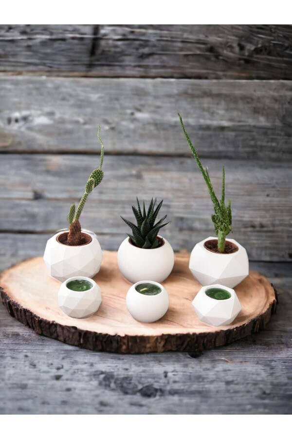 Candle Holder and Succulent Set of 6 Concrete Raw White Decorative Gift - 8