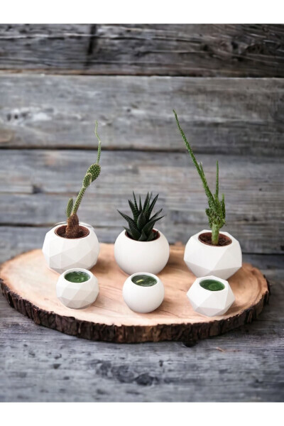 Candle Holder and Succulent Set of 6 Concrete Raw White Decorative Gift - 4