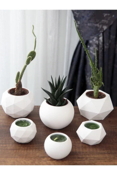 Candle Holder and Succulent Set of 6 Concrete Raw White Decorative Gift - 3
