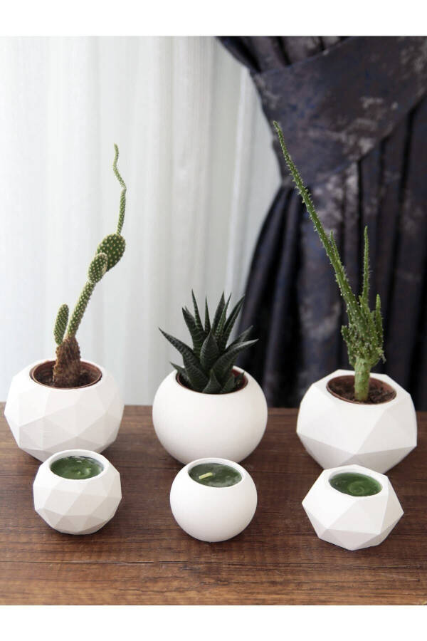 Candle Holder and Succulent Set of 6 Concrete Raw White Decorative Gift - 10