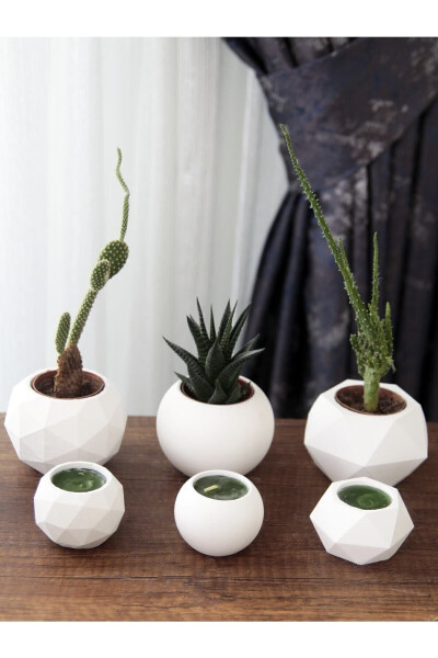 Candle Holder and Succulent Set of 6 Concrete Raw White Decorative Gift - 6