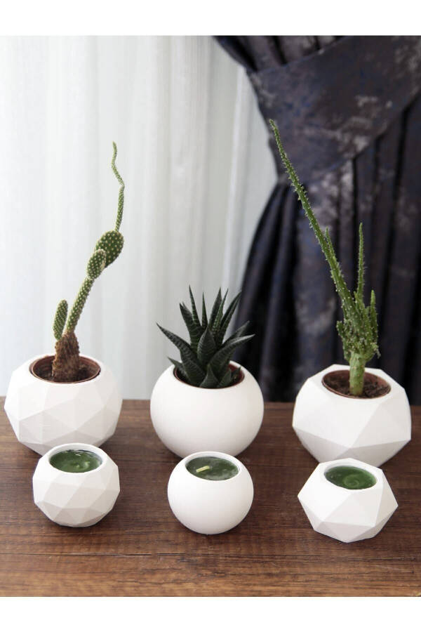 Candle Holder and Succulent Set of 6 Concrete Raw White Decorative Gift - 2