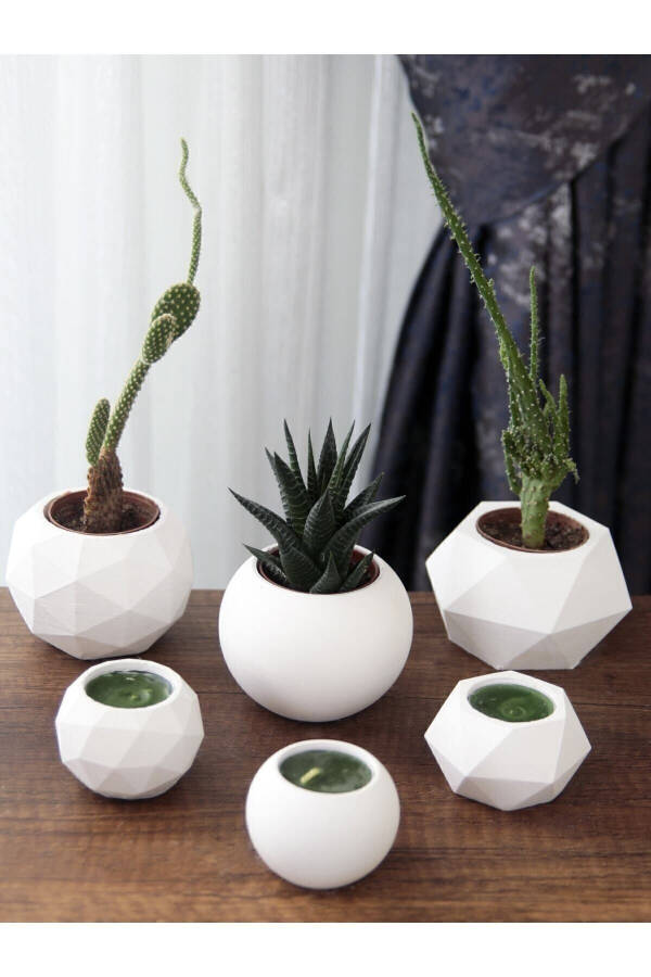 Candle Holder and Succulent Set of 6 Concrete Raw White Decorative Gift - 3