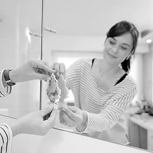 Car Freshener 10109 Little Tree Air Freshener-Forest Fresh - 4