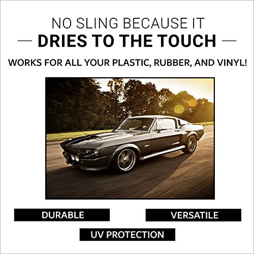 CAR GUYS Tire Shine Spray | The Perfect Shine | Durable and User Friendly Tire Dressing | Long Lasting UV Protection | 18 Oz Kit with Applicator Pad - 5