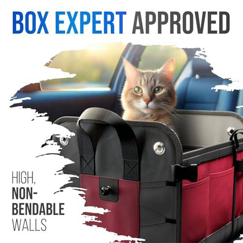 Car Trunk Organizer – Large Collapsible Storage Box with Adjustable Compartments – Heavy-Duty Cargo Organizer for SUV, Truck & Car – Non-Slip Waterproof Trunk Storage Bin for Groceries & Tools - 6