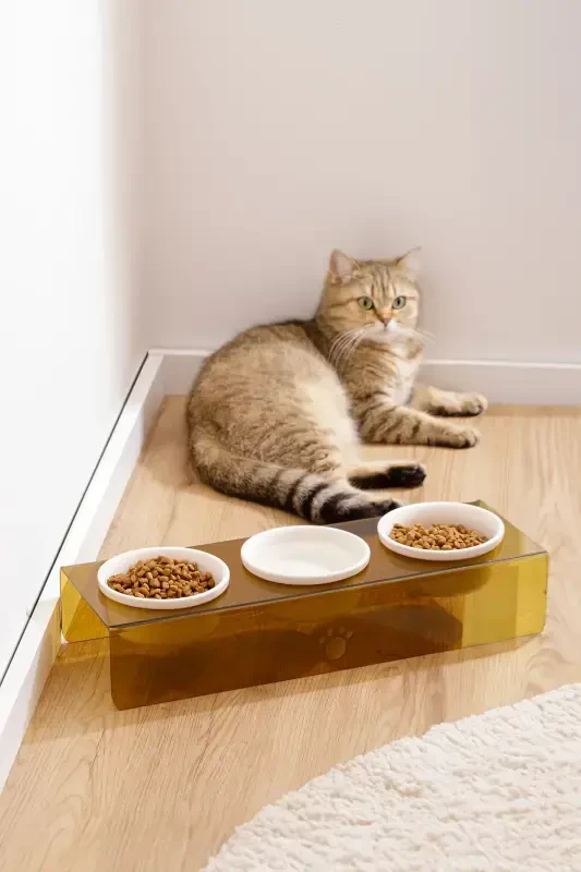 Cat And Dog Food Water Bowl Ceramic Bowl Feeder 3 Pcs-BROWN - 1