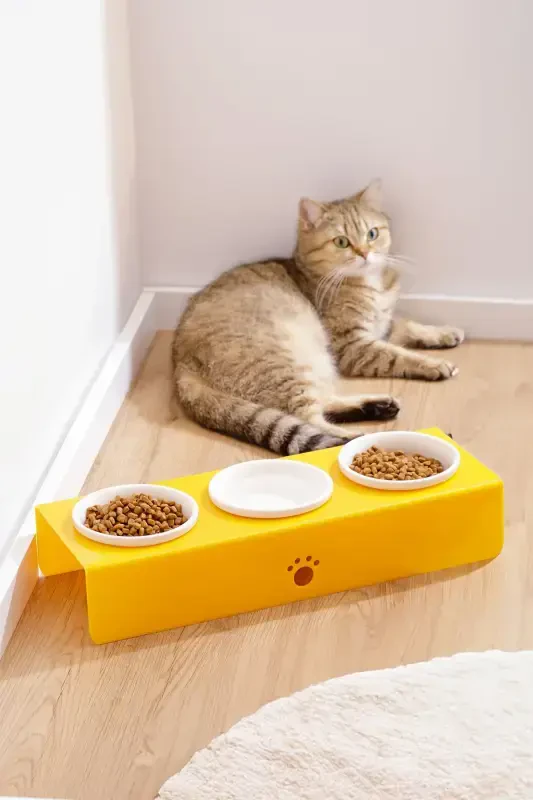 Cat And Dog Food Water Bowl Ceramic Bowl Feeder 3-Piece-YELLOW - MODAZONE