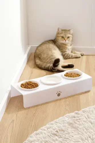 Cat And Dog Food Water Bowl Ceramic Bowl Feeder 3-WHITE - 1