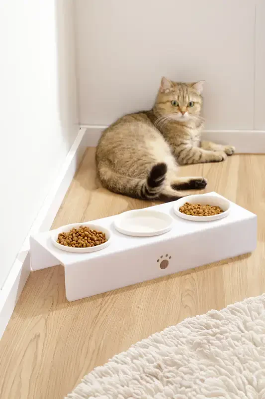 Cat And Dog Food Water Bowl Ceramic Bowl Feeder 3-WHITE - 1