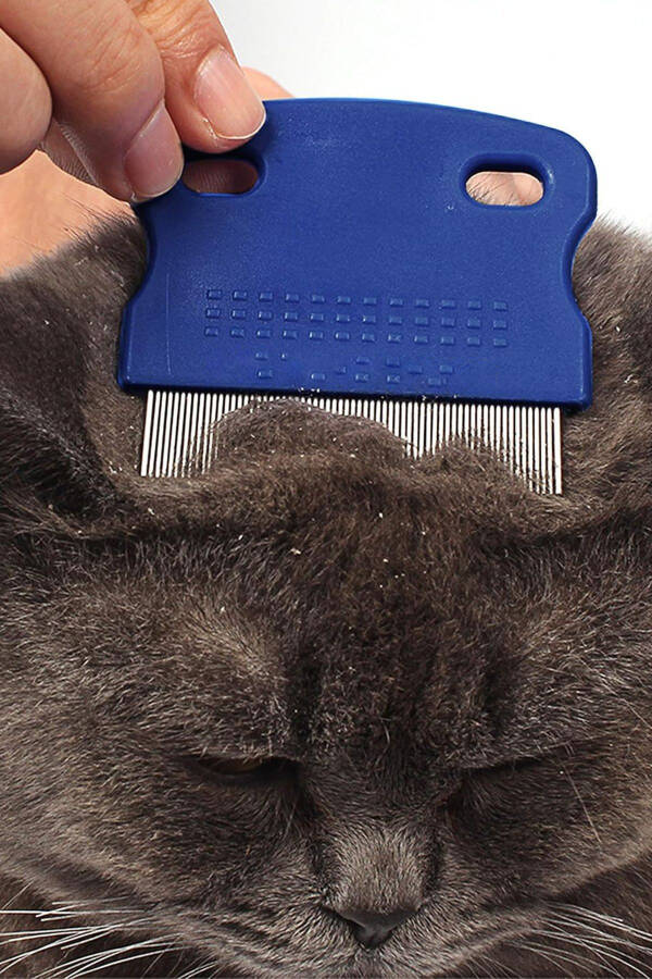 Cat Dog Flea Comb Cat Flea Comb Dog Grooming Brush Cat Fur Cleaning Flea Shampoo - 7