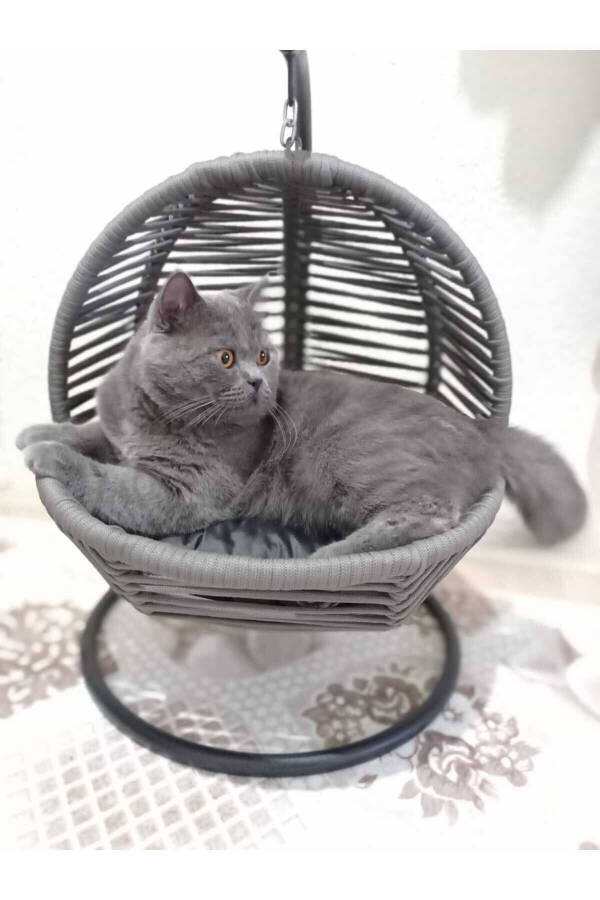 Cat Swing & Cat Bed (with Fixing Device) - 1