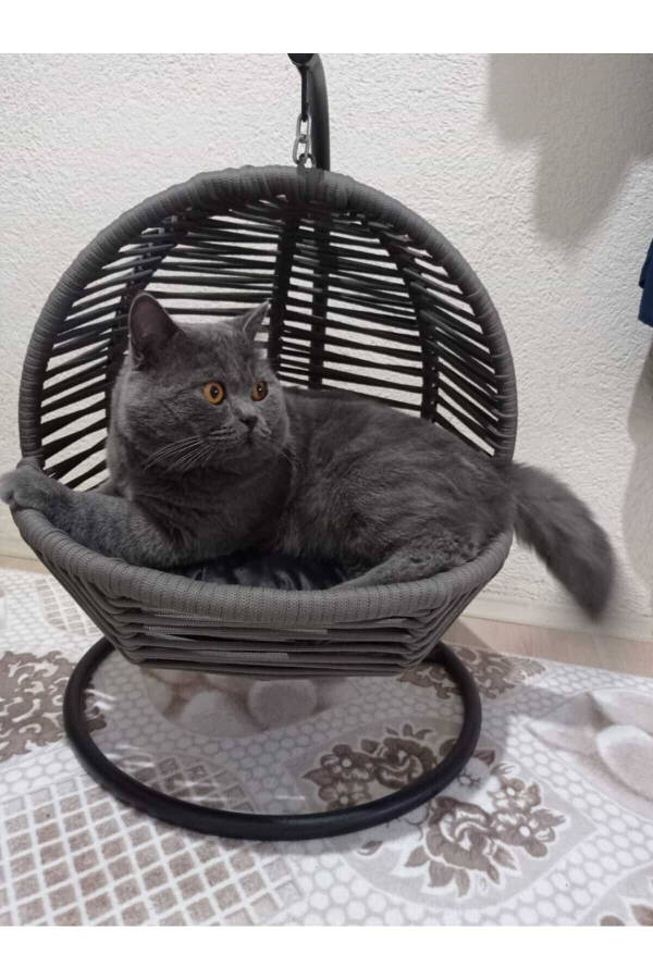 Cat Swing & Cat Bed (with Fixing Device) - 2