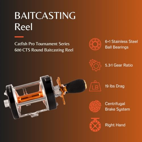 Catfish Pro Tournament Series 600CTS Round Baitcasting Reel - 6+1 Stainless Steel Ball Bearings, 5.3:1 Gear Ratio, 19lb Drag, Brass Gears, Centrifugal Brake, Durable & Powerful for Big Catfish Fishing - 8