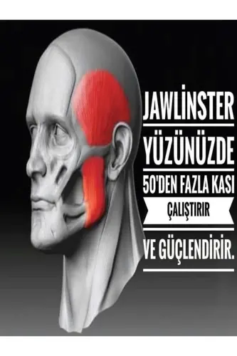 Çene Egzersiz Topu Başlangıç Seviyesi Çene Kası Egzersiz Topu - 4