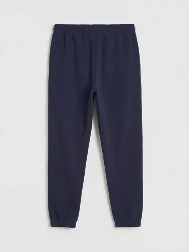 Lacivert Standart Kalıp Erkek Jogger Eşofman Altı-Lacivert - 6