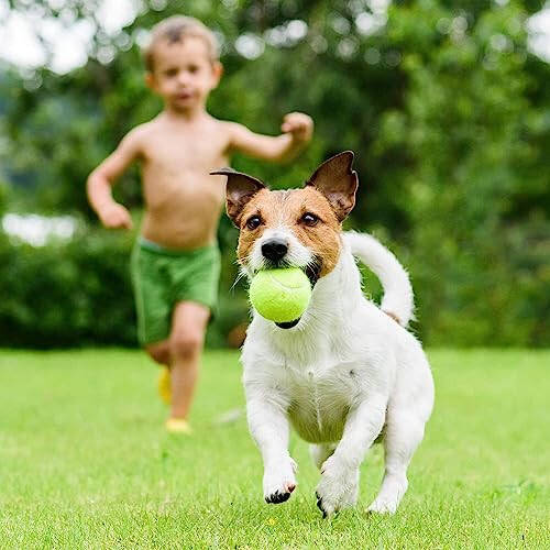 CHEGIF Tenis Antrenman Topu İple, Tenis Eğitim Topları Kendi Kendine Pratik Eğitim Aracı, Tenis Topu Antrenman Ekipmanı Sıçrama Taban Tahtası Kendi Kendine Tenis Antrenman Aracı - 7