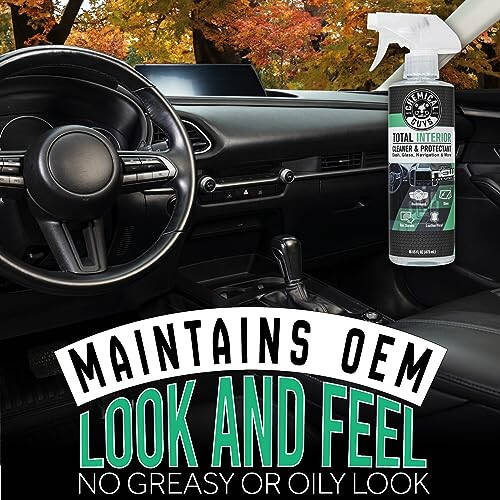 Chemical Guys SPI23416 Total Interior Cleaner and Protectant, New Car Smell, (Safe for Cars, Trucks, SUVs, Jeeps, RVs & More) 16 fl oz (Pack of 2) - 6