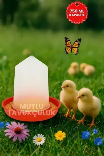 Chick Starter Waterer And Feeder Set 750 ml - 8