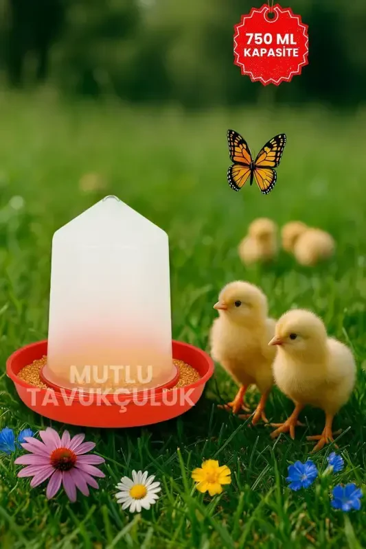 Chick Starter Waterer And Feeder Set 750 ml - 8