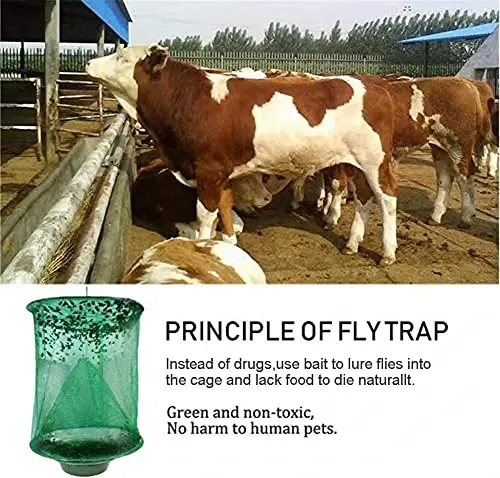 Ranch Fly Trap Outdoor Hanging Reusable with Fishing Apparatus | Food Bait Tray Catcher Cage for Indoor or Outdoor Family Farms, Park (8 Pack) 