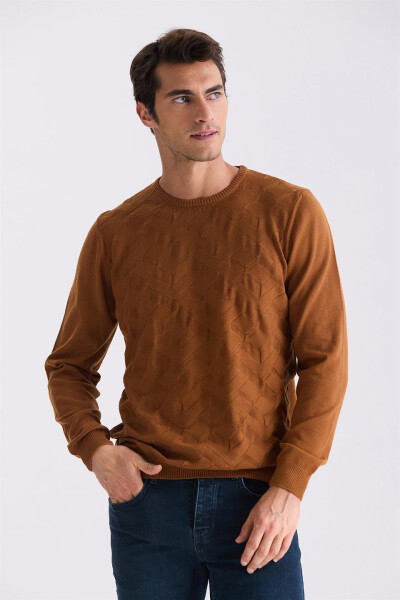 Cinnamon Slim Fit Crew Neck Patterned Knit Sweater - 5