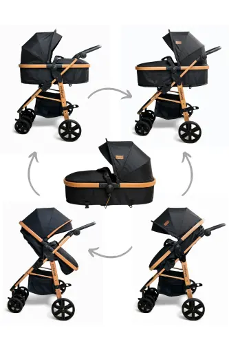Classic Black Travel System, Two-Way, (Travel System) Stroller Without Carrycot-Black - BEBEGOLD (1)