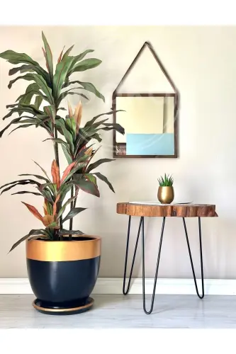 Classic Plant Pot with Saucer Diameter: 30cm X Height: 30cm Black Gold - Black-Gold - 1