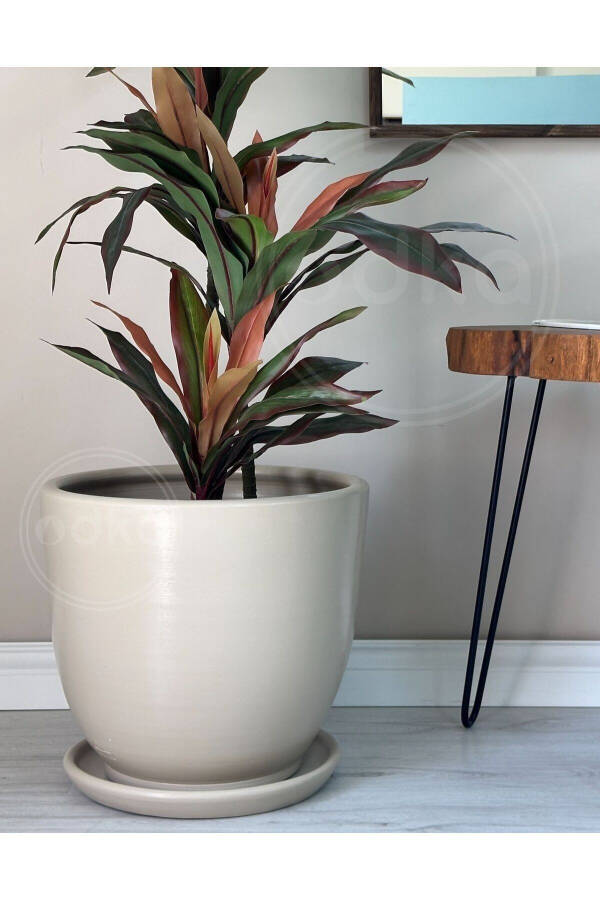 Classic Pot with Tray 30cmx28cm Stone - 6