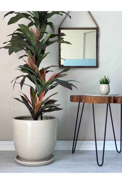 Classic Pot with Tray 30cmx28cm Stone - ODKA