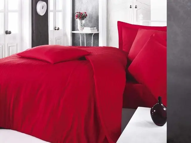 Clasy Çizgili Saten Nevresim Takımı Çift Kişilik Kırmızı - 1