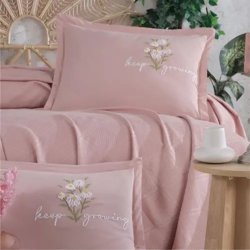 Clasy Pike Set Double Etta V4 Powder - 3