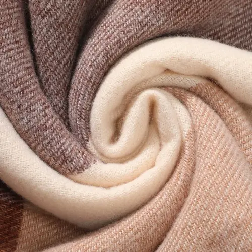 Clothirily Womens Winter Scarf, Fashion CasModazoneere Feel Plaid Scarfs for Women, PasModazoneina Shawls and Wraps, Long Blanket Scarf - 5