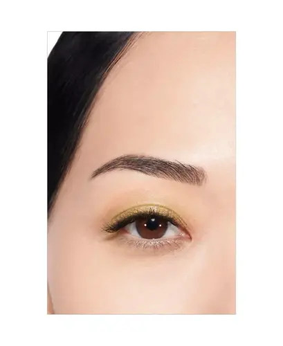 Multi-Use Longwearing Eyeshadow - 224 BLÉ D'OR ANTIQUE - 4