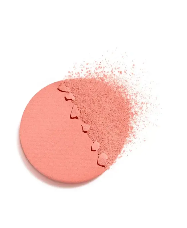Multi-Use Longwearing Eyeshadow-228 ROSE CHARNEL - 6