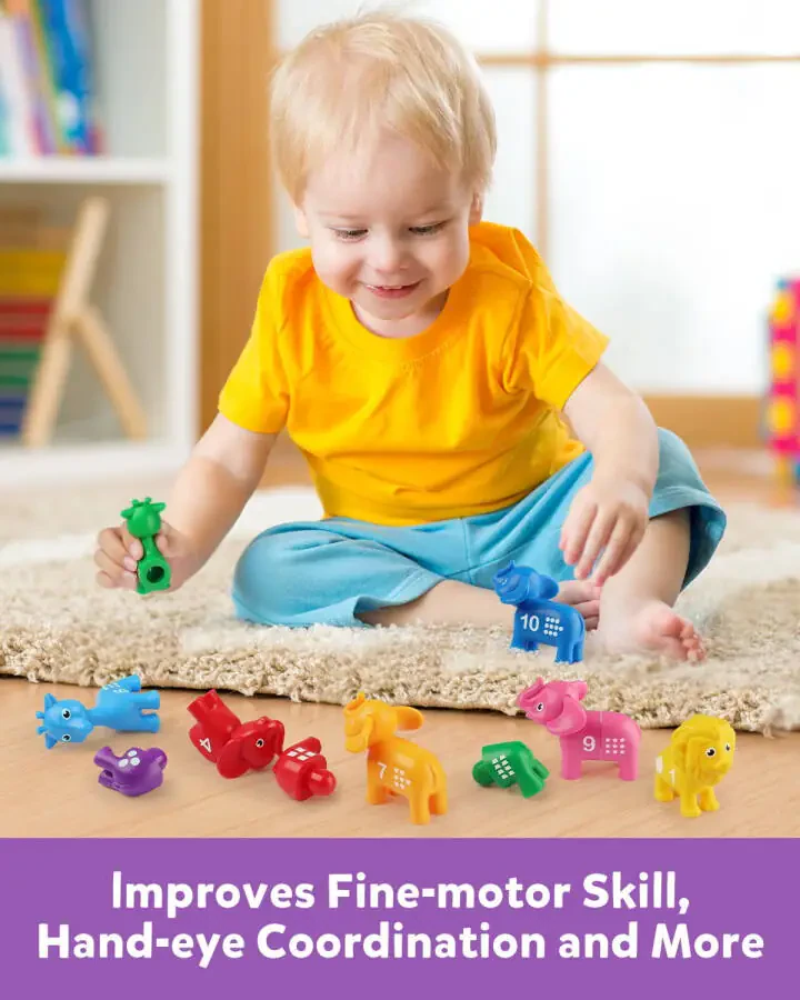 Coogam Number Matching Toy Set, 10 dona ikki tomonlama hayvonlar sonini sanash o'yini, maktabgacha yoshdagi Montessori nozik vosita matematik ta'lim o'yinchoqlari 3 4 5 yosh uchun - 4