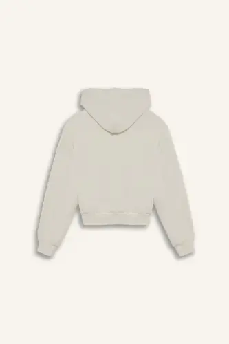 Coool Standard Fit Hooded Zippered Sweatshirt Dirty White - 9