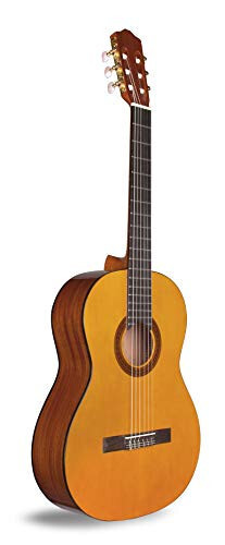 Cordoba C1 Classical Acoustic Nylon String Guitar, Protégé Series, with Standard Gig Bag - 2