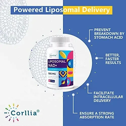 Corllia Liposomal NAD+ 500mg with TMG 250mg Softgels, Nicotinamide Riboside Alternative, Actual NAD+ Supplement, 60 Servings - 3