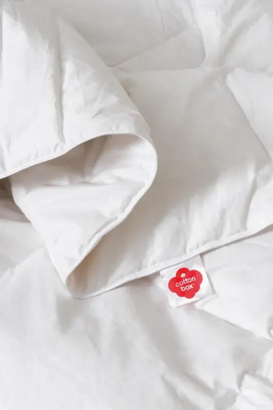 Cotton Box Goose Feather Double Quilt - 2