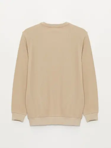 Crew Neck Long Sleeve Men's Sweatshirt-Beige - LC WAIKIKI (1)